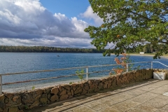 IMG_20191003_121739x
