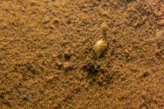 DSC00017x