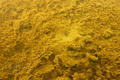 DSC09982x