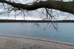 IMG_20191207_075746x