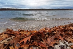 IMG_20191207_082304x