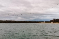 IMG_20191207_083045x