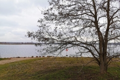 IMG_20200119_142619x