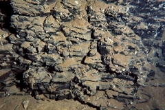 P1190239x