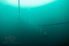 DSC01379x