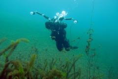 P1260337xxx