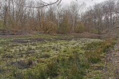 IMG_20200321_161752x