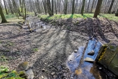 IMG_20200319_131650x