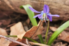 IMG_20200319_140355x