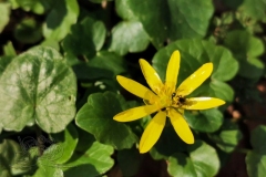 IMG_20200319_140523x