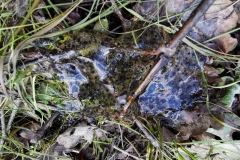 IMG_20200321_161920x