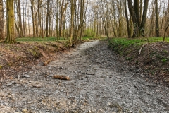 IMG_20200327_170528x