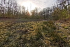 IMG_20200327_170759x