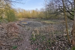 IMG_20200327_171012x