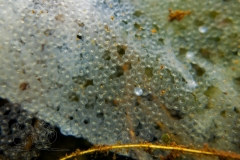 DSC02101x