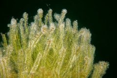 DSC02647x