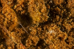 DSC03402x