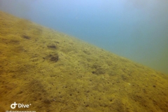 BuddyApp_24