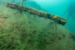 DSC06268x