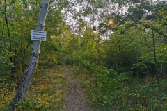 IMG_20200912_082512x