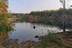 IMG_20200912_082652x