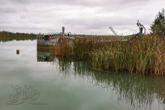 IMG_20201031_131945x