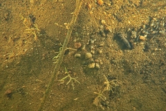 PA310203xx