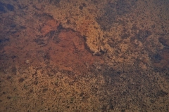 PA310225xx