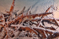 PA310248xx