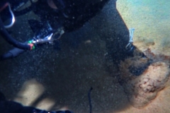 PA310250xx
