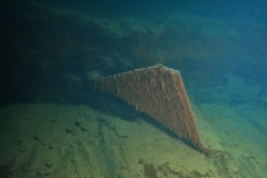PA310269xx