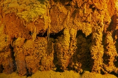 DSC07162x