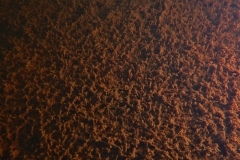 PB010353xx