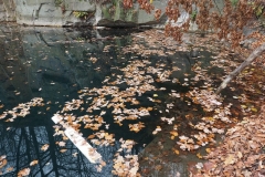 1_PC050048x