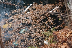 1_PC050050x