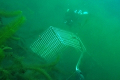 PC120018x