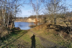IMG_20201217_131039x