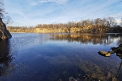 IMG_20201217_131129x