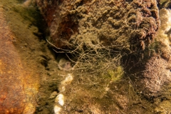 DSC07937x