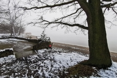 IMG_20210110_125502x