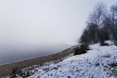 IMG_20210110_125515x