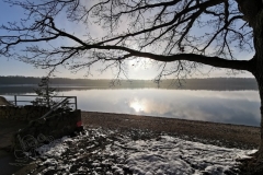 IMG_20210110_141557x
