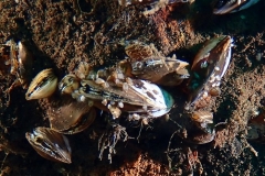 P1210087x
