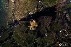 Ronny_DSC3643
