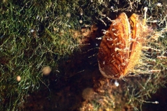 P1270013x