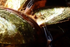 P1270025x