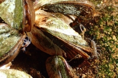 P1270027x