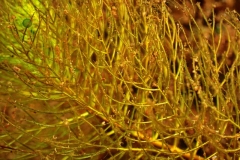 P1270028x