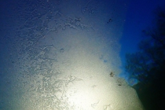 P1270070x