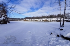 IMG_20210213_140028x